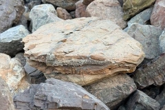 landscaping1